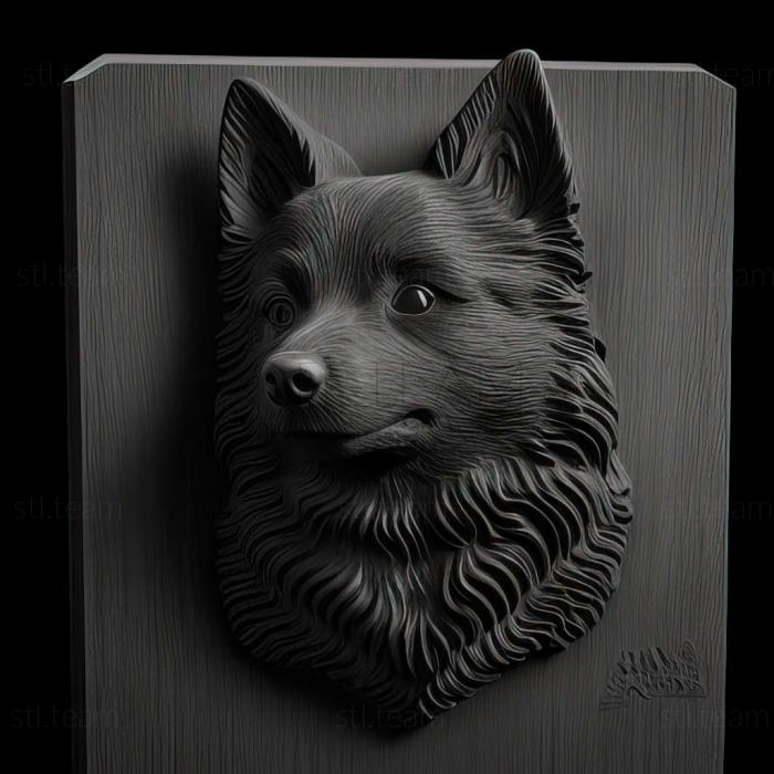 3D model Schipperke dog (STL)